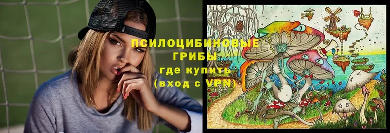 Псилоцибиновые грибы GOLDEN TEACHER  сайты даркнета какой сайт  Адыгейск 